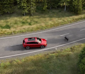 Skoda Karoq - Assistant d'aide à la conduite : Protection des occupants