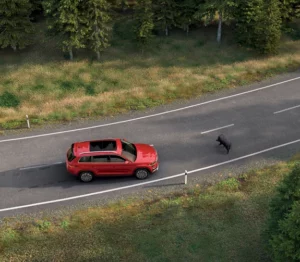 Skoda Karoq - Assistant d'aide à la conduite : Protection des occupants